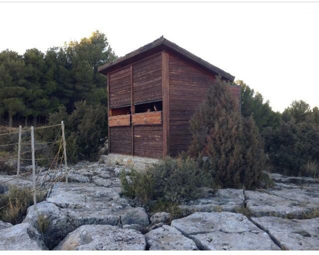 Apartamento Rural La Cascada De Calmarza Exterior photo